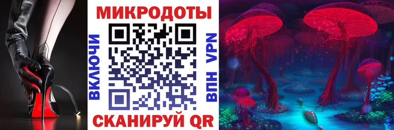 кракен вход  Калуга  Псилоцибиновые грибы Cubensis 